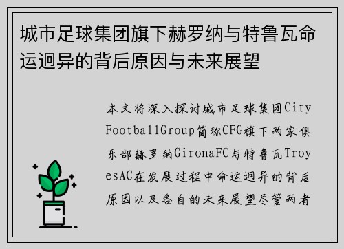 城市足球集团旗下赫罗纳与特鲁瓦命运迥异的背后原因与未来展望
